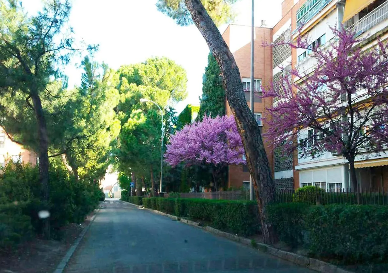 Homestay Casa Sara Madrid Apartment