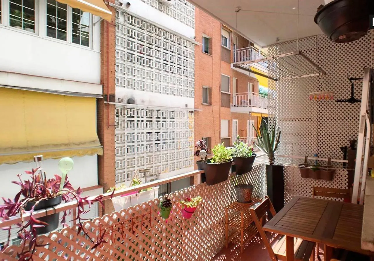 Homestay Casa Sara Madrid Apartment Spain